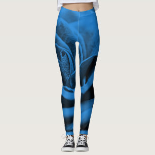 Nära blå röd ros, makroskönhet. leggings