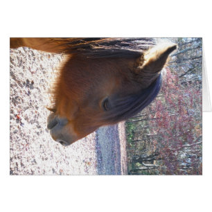 Nära Brown-hästen, Little Brown Pony Hälsningskort