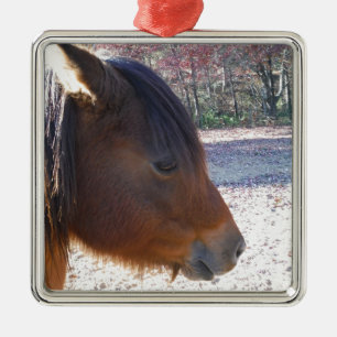 Nära Brown-hästen, Little Brown Pony Julgransprydnad Metall