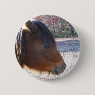 Nära Brown-hästen, Little Brown Pony Knapp
