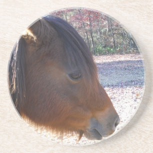 Nära Brown-hästen, Little Brown Pony Underlägg