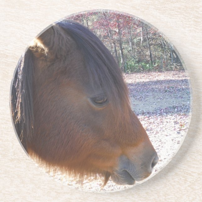Nära Brown-hästen, Little Brown Pony Underlägg (Framsidan)