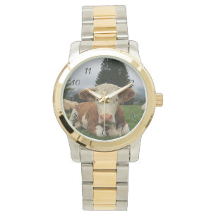 Nära en brun och vit ko som lägger sig armbandsur