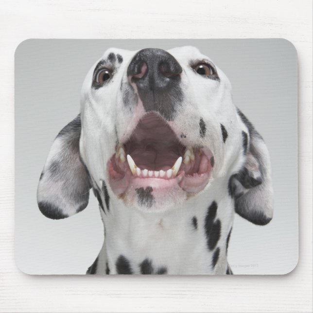 Nära en Dalmatisk hund Musmatta (Framsidan)