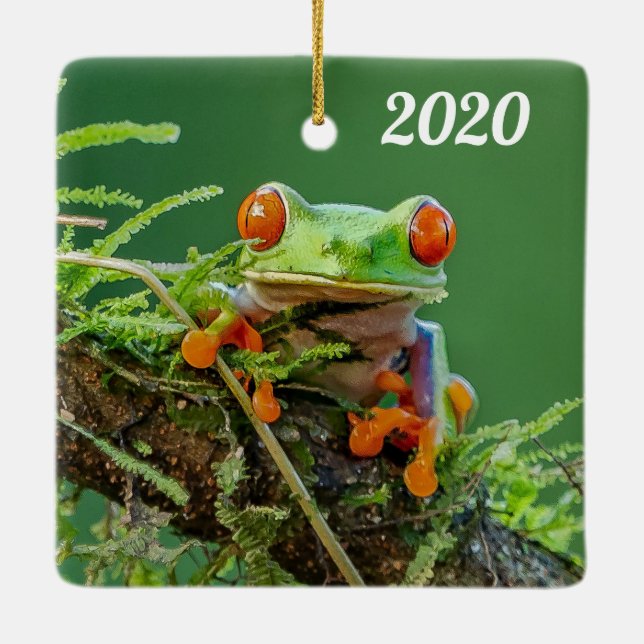 Nära en röd Eyed Träd Frog på gren Julgransprydnad Keramik (Baksida)