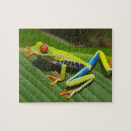 Nära en röd Eyed Träd Frog på löv Pussel