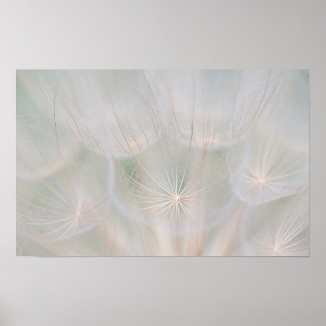 Nära ett fröhuvud, Kanada Poster (Framsidan)