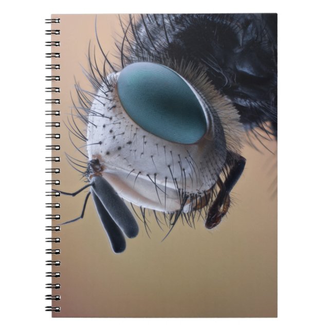 Nära Insekt Kryp Head Anteckningsbok (Framsidan)