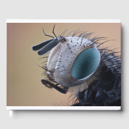 Nära Insekt Kryp Head Gästböcker