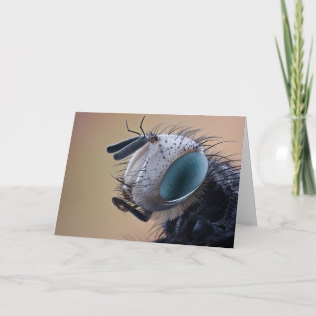 Nära Insekt Kryp Head Kort (Framsida)