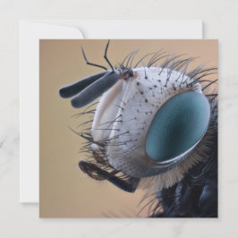 Nära Insekt Kryp Head Kort