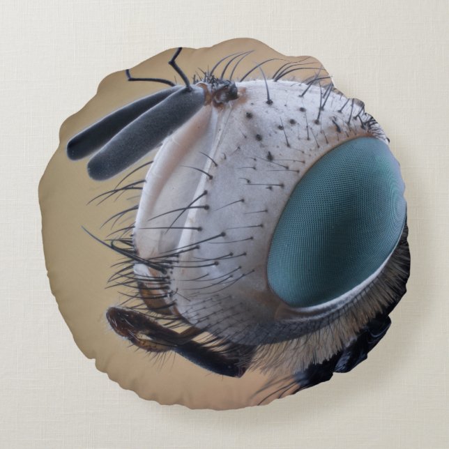 Nära Insekt Kryp Head Rund Kudde (Baksidan)