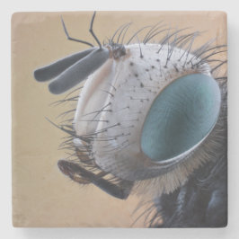 Nära Insekt Kryp Head Stenunderlägg