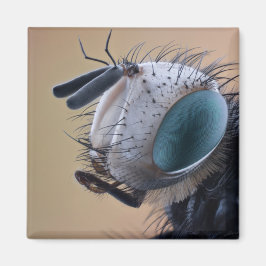 Nära Insektens chef Magnet