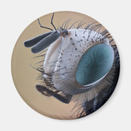 Nära Insektens chef Magnet