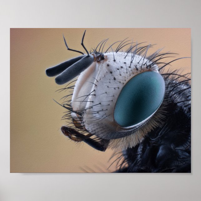 Nära Insektens chef Poster (Framsidan)