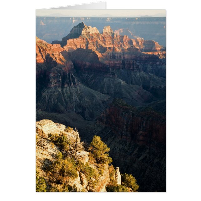 Nära Kant Hälsningskort (Framsidan)