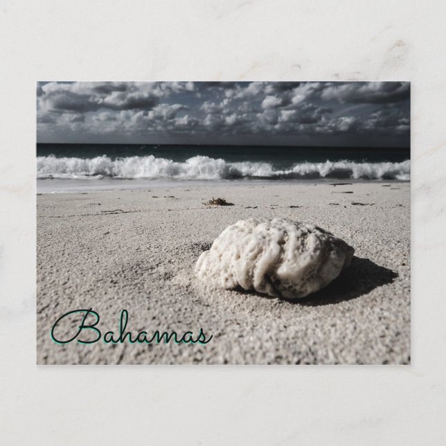 Nära mål för svartvit Anpassningsbar Vykort (Framsida)