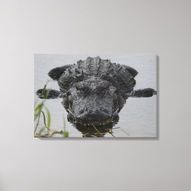 Nära och personlig canvastryck (Framsida)