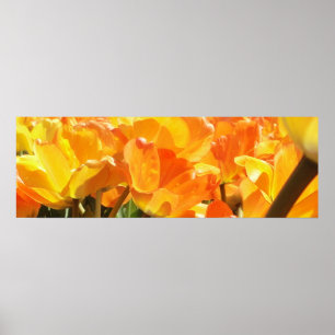 Nära Orange- och Gult-tulpaner Poster