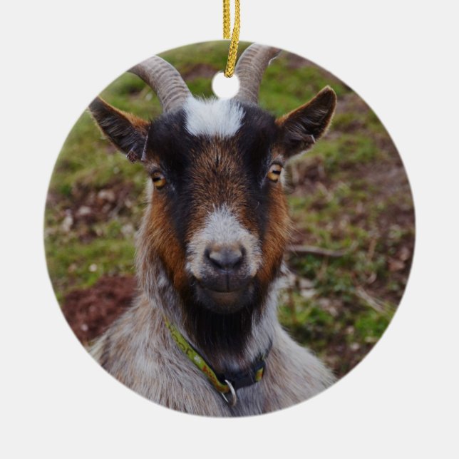 Nära övre för get julgransprydnad keramik (Framsidan)