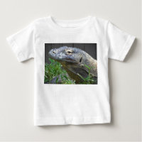 Nära övre för Komodo drake