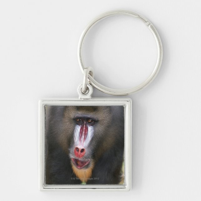 Nära övre för Mandril (Mandrillussphinx) Fyrkantig Silverfärgad Nyckelring (Framsidan)