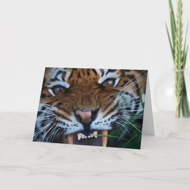 Nära ÖVRE för tigerhuggtänder Kort (Framsida)