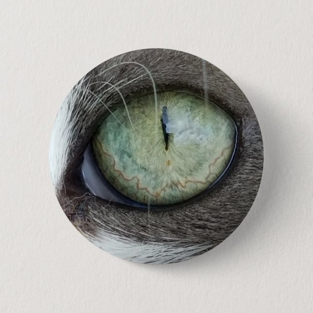 Nära övre katt öga knapp (Framsida)