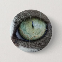 Nära övre katt öga knapp