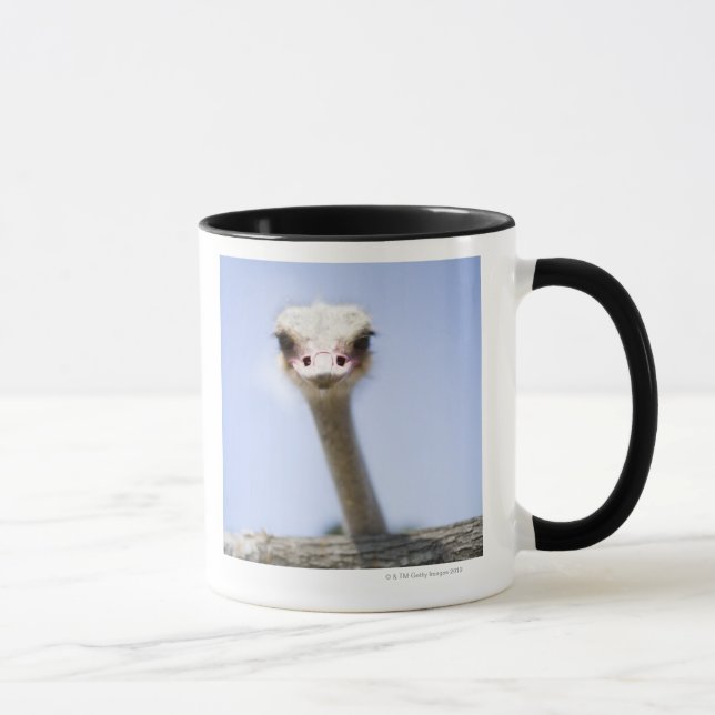 Nära övre Ostrichhuvud Mugg (Höger)