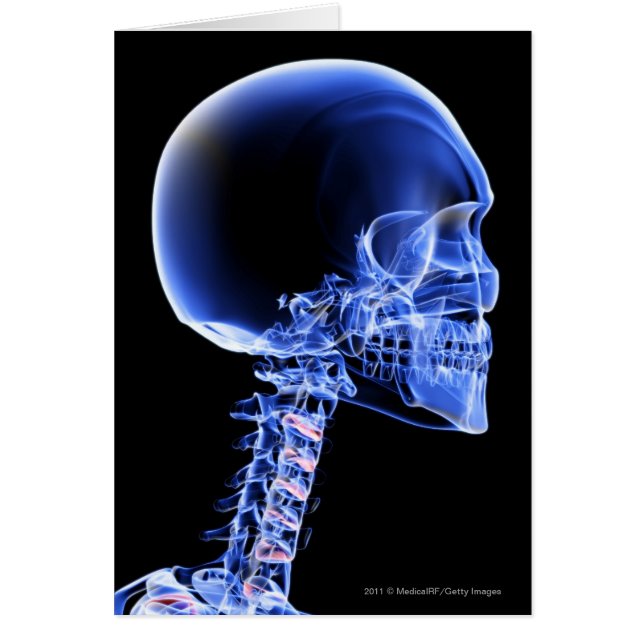 Nära övre röntgenstråle av benen i nacken hälsningskort (Framsidan)