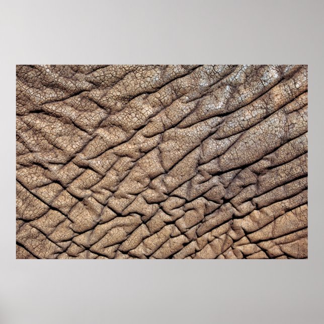 Nära på Afrikas elefantGöm Poster (Framsidan)