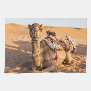 Nära på lustig kamel i Oman Wahiba-öknen Kökshandduk