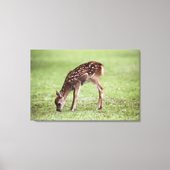 Nara Prefecture, Honshu, Japan 3 Canvastryck (Framsida)