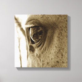 nära Sepia-bild av ett döpt Grått Horse's Öga Canvastryck