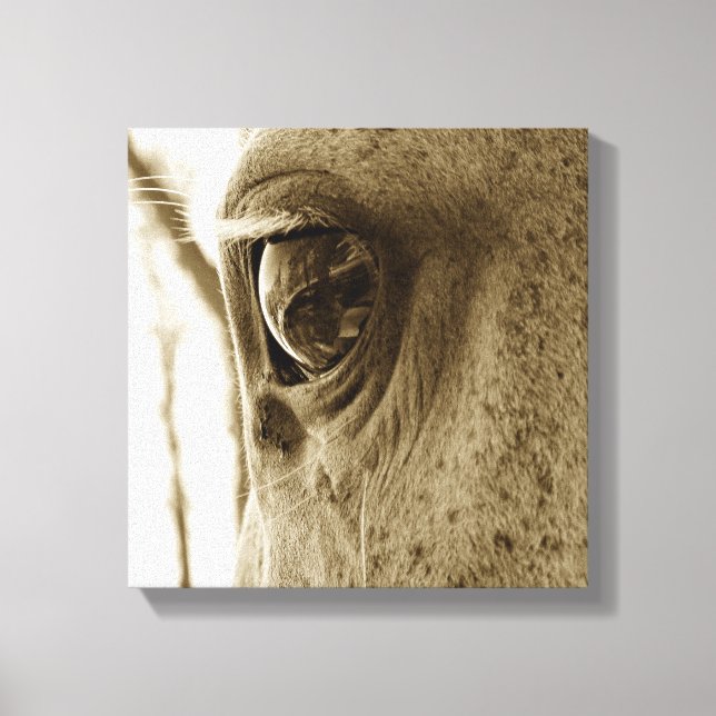 nära Sepia-bild av ett döpt Grått Horse's Öga Canvastryck (Framsida)