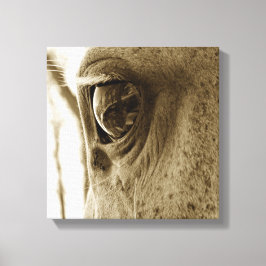 nära Sepia-bild av ett döpt Grått Horse's Öga Canvastryck