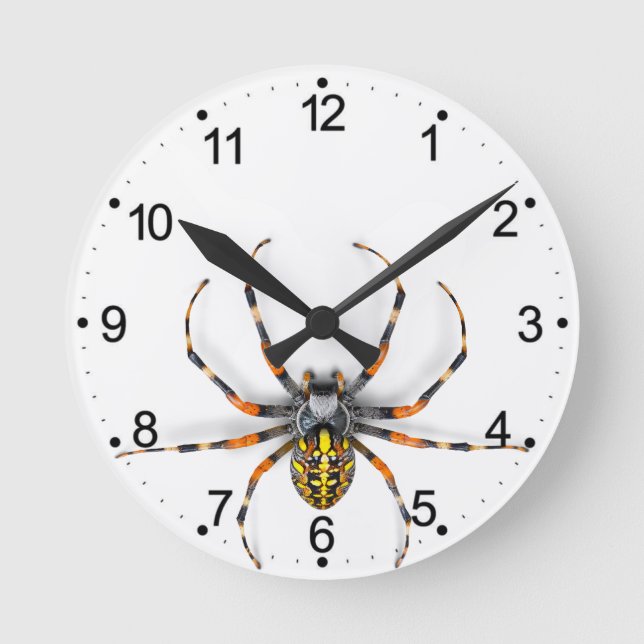 Nära Spider Isolated-23983 Denim Jacka Rund Klocka (Framsida)