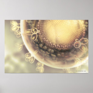 Nära strukturen hos en hiv-cell poster