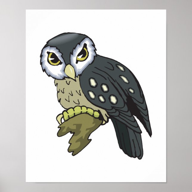 nära uggla poster (Framsidan)