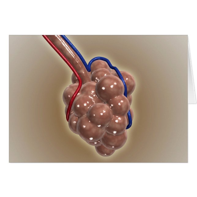 Nära upp Alveolus Hälsningskort (Framsidan Horizontal)