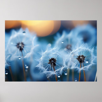 Nära upp vy över Dandelion med droplets Vatten Poster