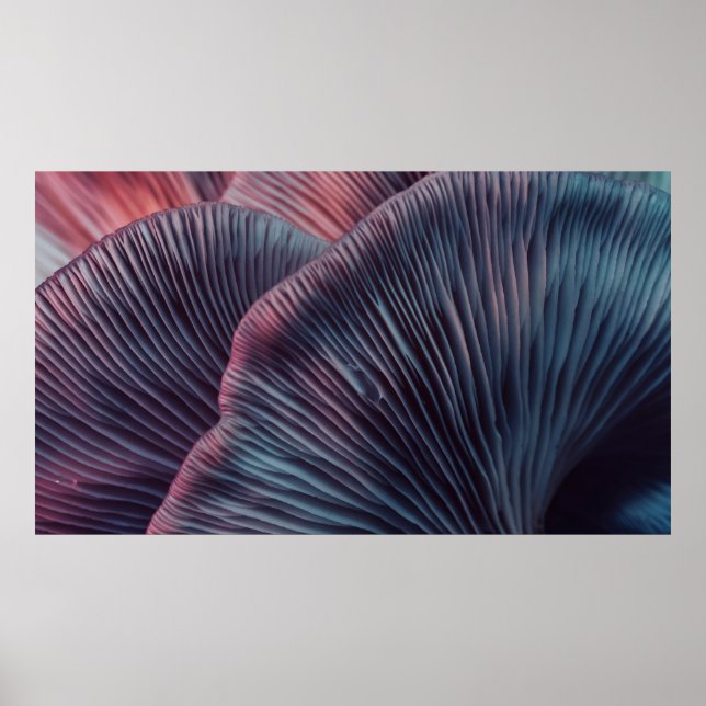 Nära vackra svampar färg i ljuset poster (Framsidan)