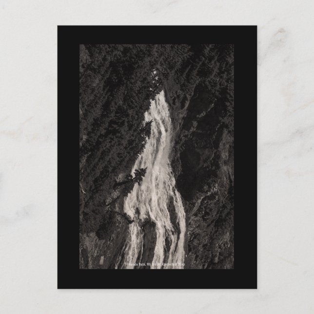 Narada Falls, WA Vykort (Framsida)