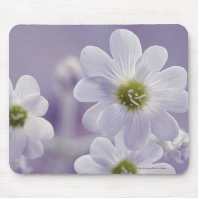 Närbild av blommor 2 musmatta (Framsidan)
