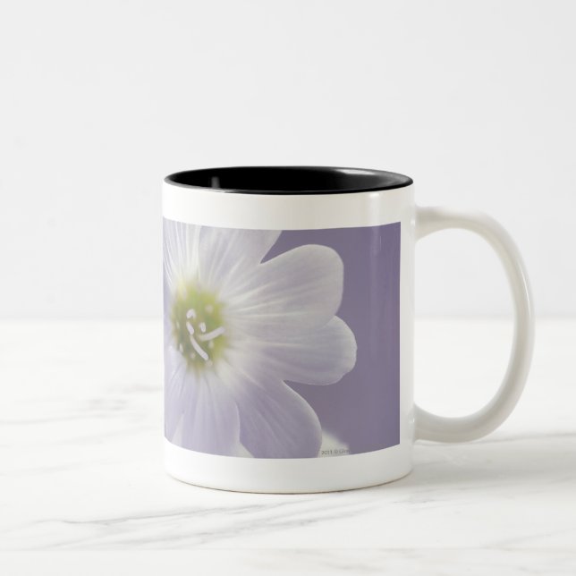 Närbild av blommor 2 Två-Tonad mugg (Höger)