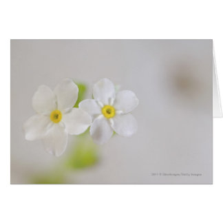 Närbild av blommor hälsningskort