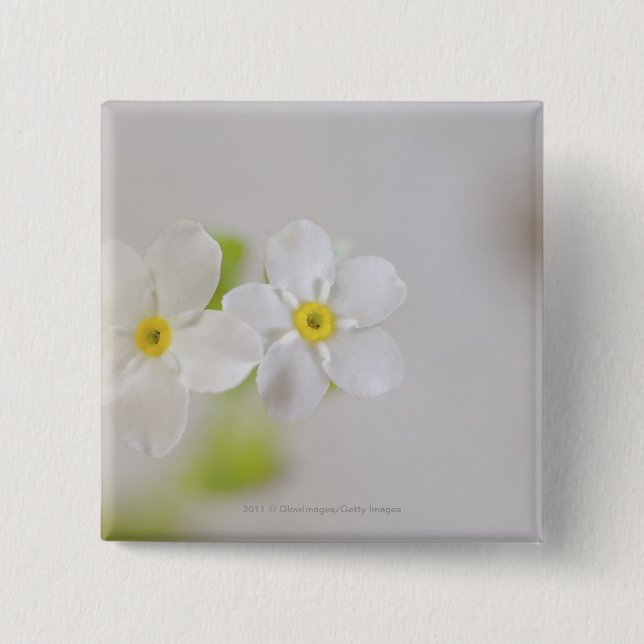 Närbild av blommor knapp (Framsida)