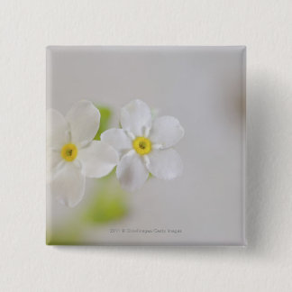 Närbild av blommor knapp